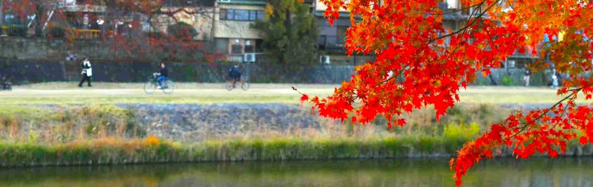 秋の鴨川邸 二つの物語